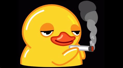 duck smoking gif|close up duck meme.